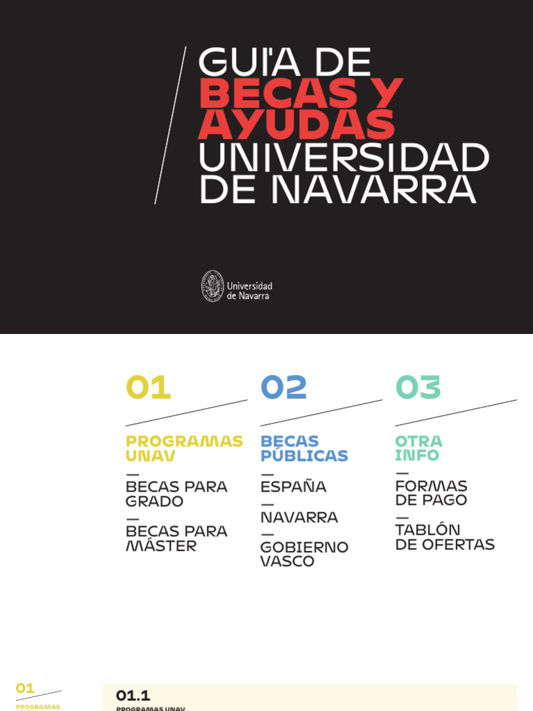 Becas y Ayudas en la Universidad de Navarra | PDF | España