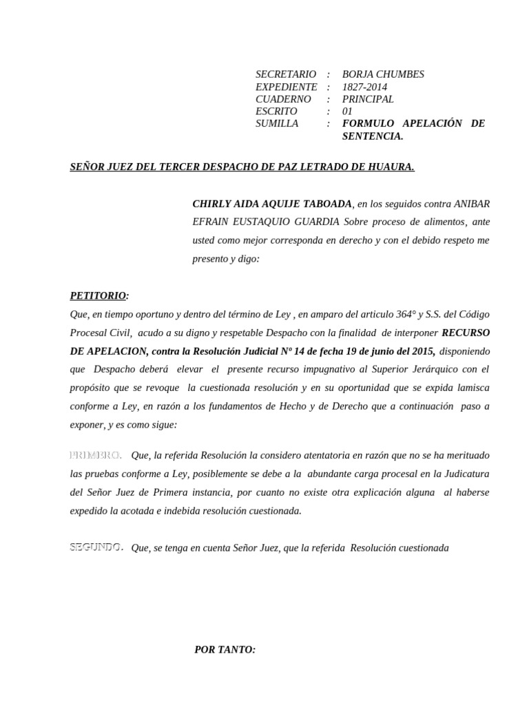 Apela Sentencia de Alimentos | PDF