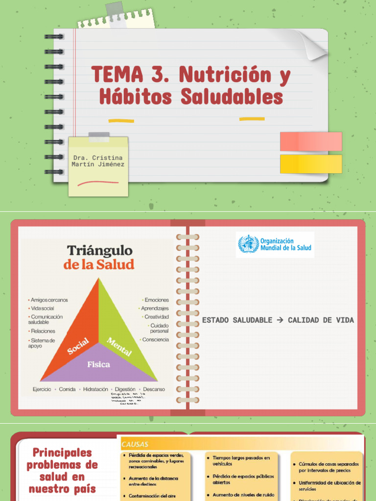 Tema 3. Nutrición y Hábitos Saludables | PDF