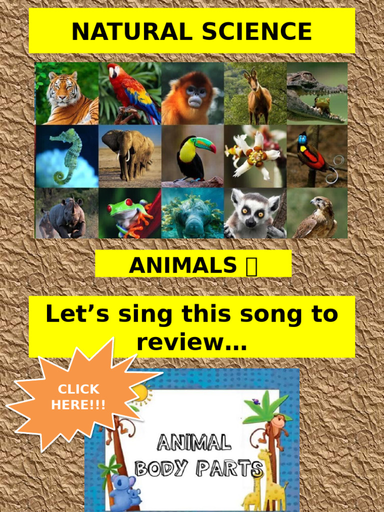Natural science animals pdf