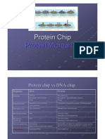 Protein Chip Protein Microarray