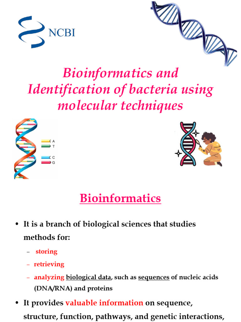 Identification of Bacteria Using 16srRNA | PDF | Nucleic Acid Sequence ...