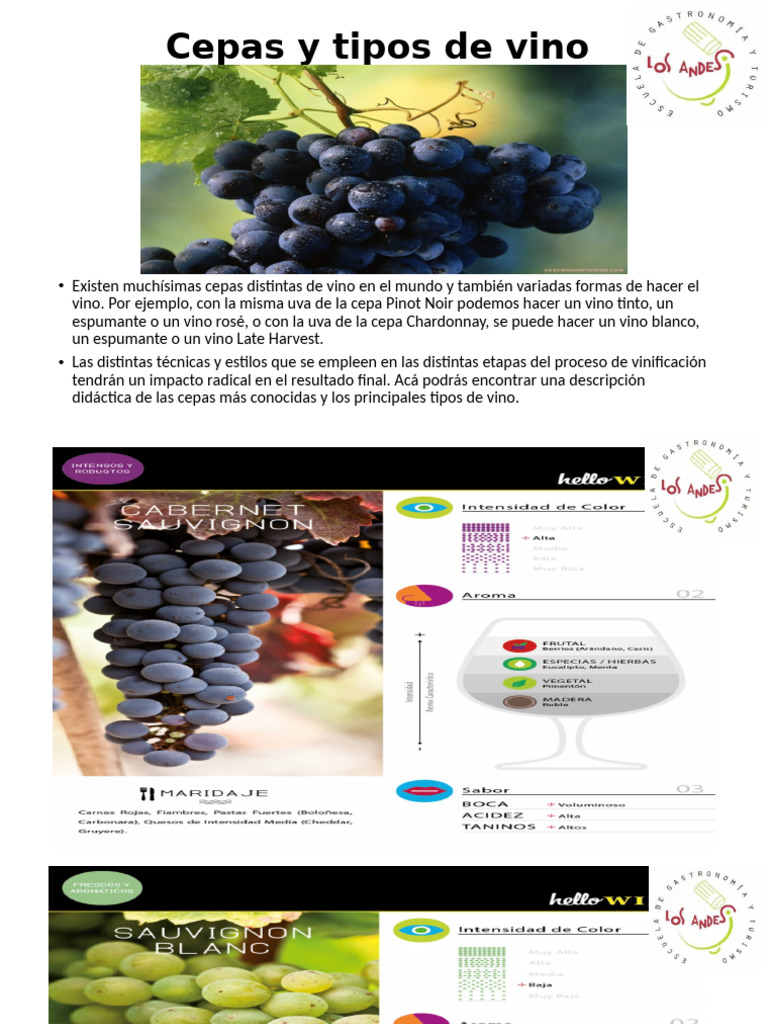 cepas-y-tipos-de-vino-pdf