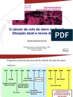 Apresentacao Seminario Intenacional Cancer Mulher Saude Publica Claudio Noronha