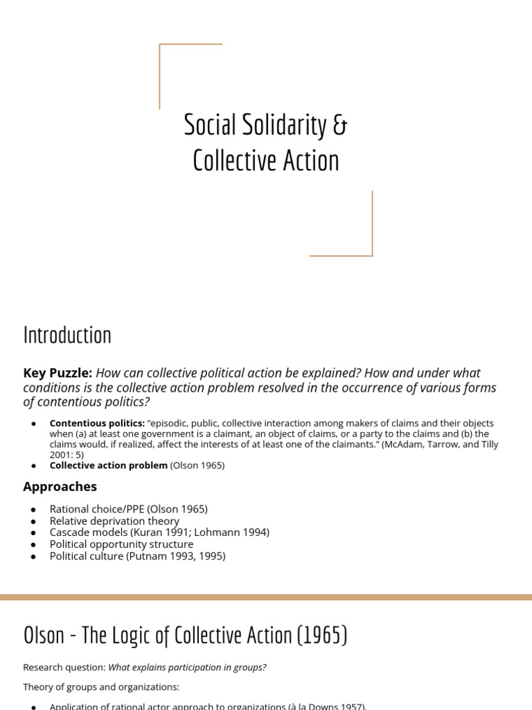 Social Solidarity and Collective Action Presentation | PDF | Social ...