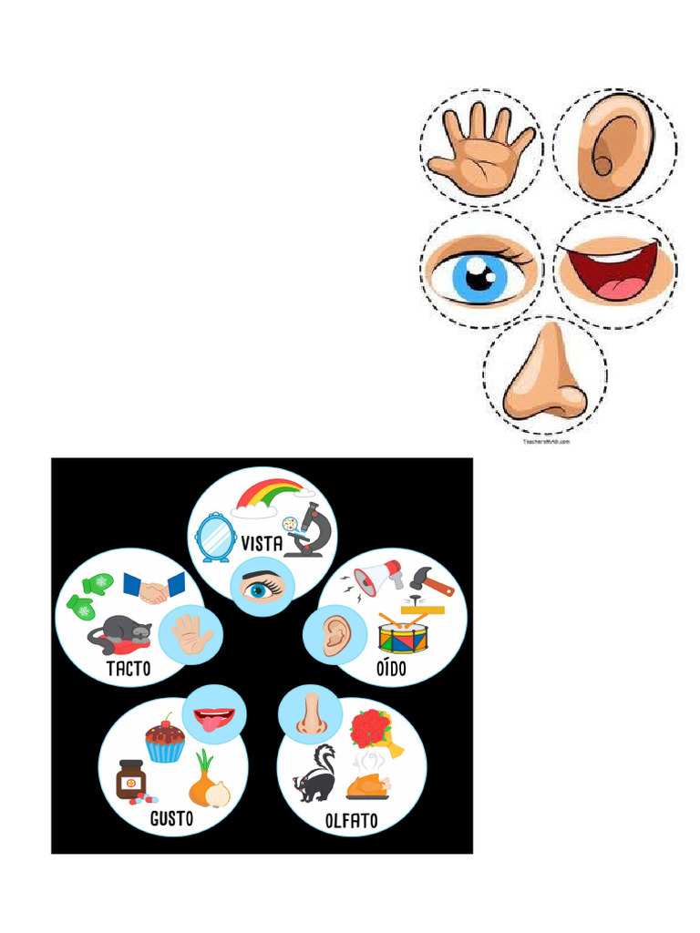 5 Sentidos Pdf