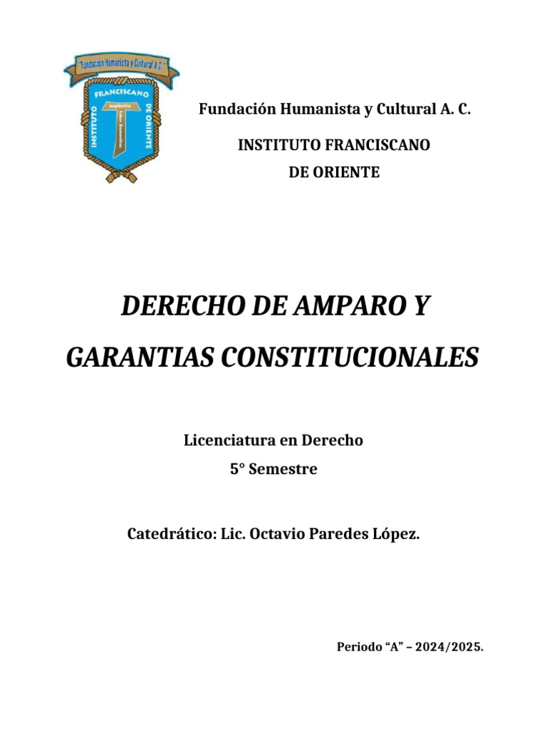 Derecho de Amparo | PDF | Derecho Constitucional | Constitución
