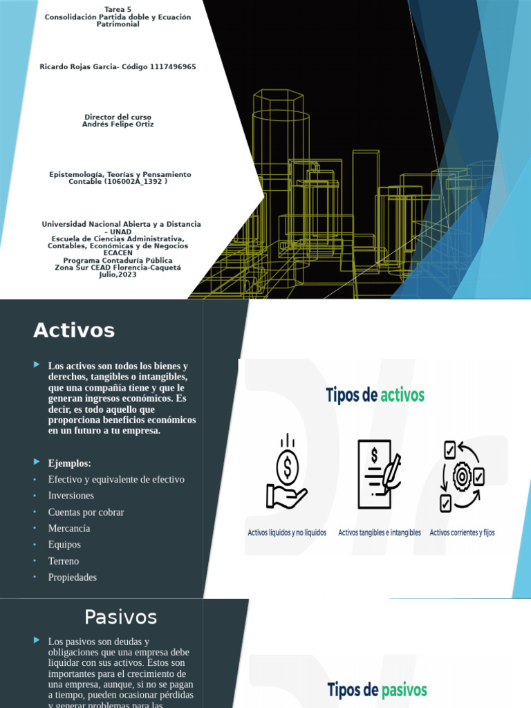Activos, Pasivos y Patrimonio | PDF | Contabilidad | Economias