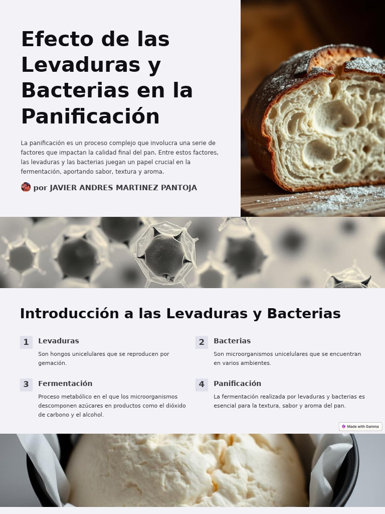 Efecto de Las Levaduras y Bacterias en La Panificacion | PDF | Levadura ...