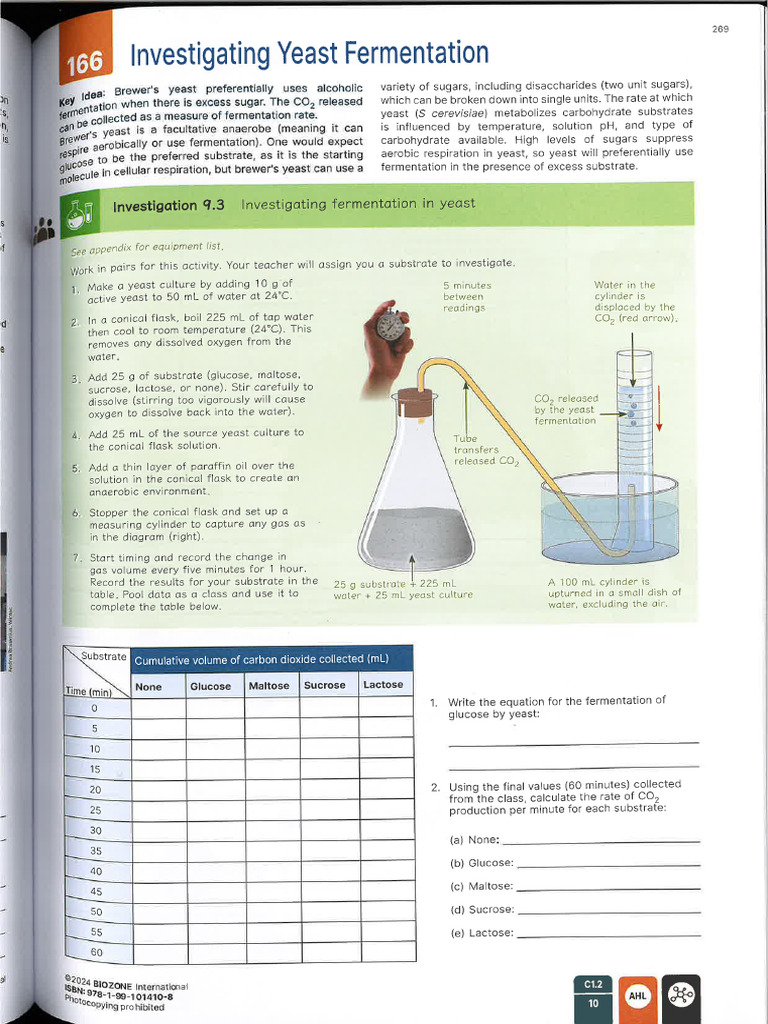 C1.2 Measuring Yeast Respiration - Biozone | PDF