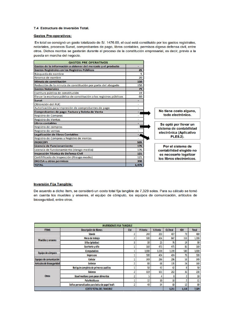 Estructura Inversion Total | PDF