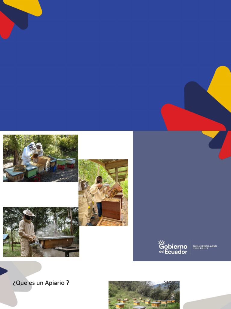 Manejo Del Apiario | PDF