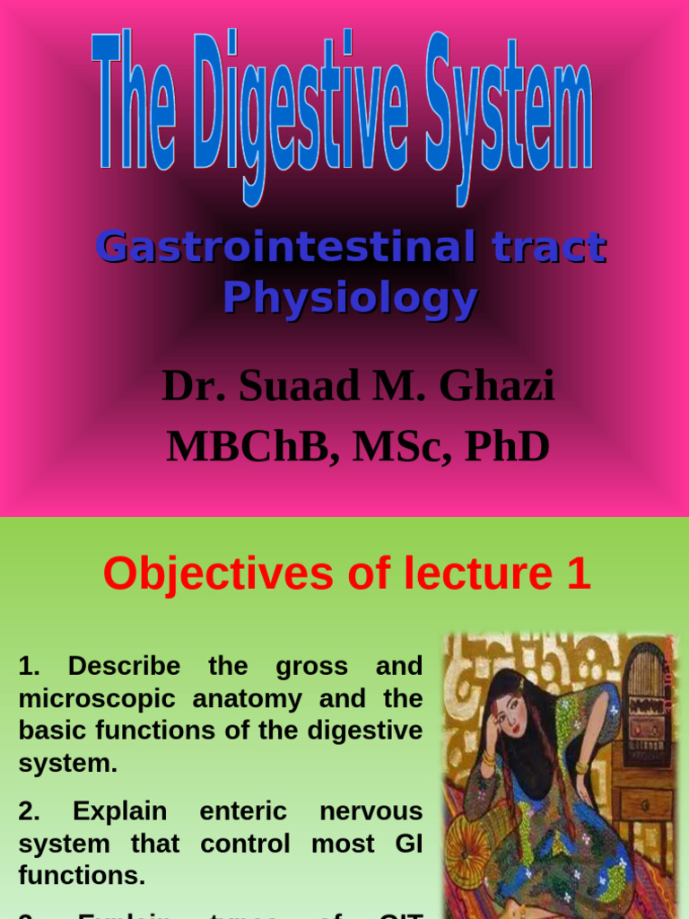Anatomy and Physiology of the GIT | PDF | Gastrointestinal Tract ...
