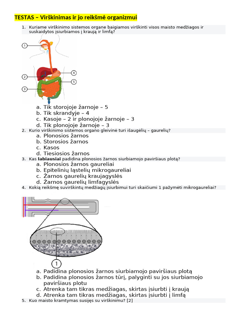 Moktestas Virskinimo Sistemos Organai Ir Ju Funkcijos (2) 3 | PDF