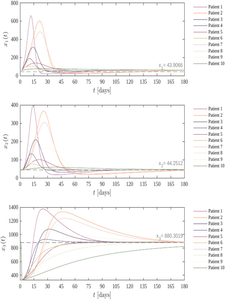 Case 2 | PDF