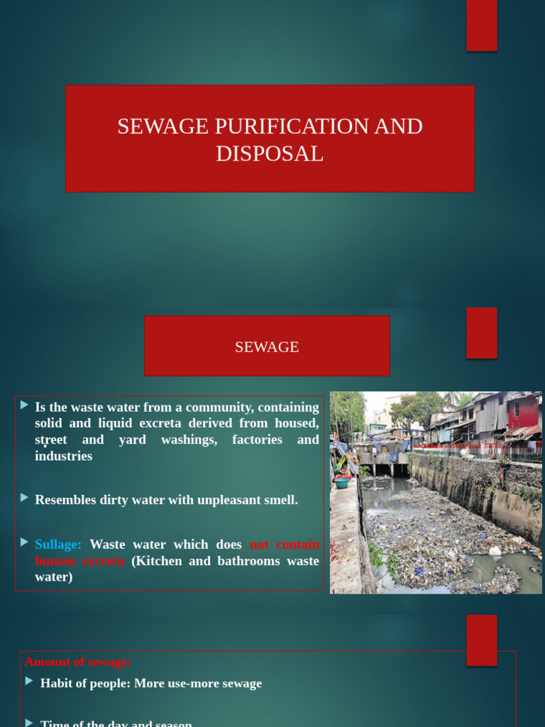 Sewae Purification and Disposal (1)(1) | PDF | Sewage Treatment | Sewage
