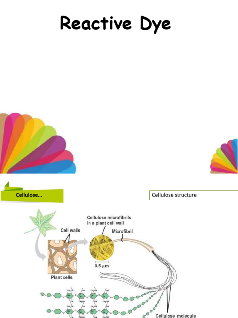 Understanding Reactive Dyes in Textiles | PDF | Dye | Dyeing