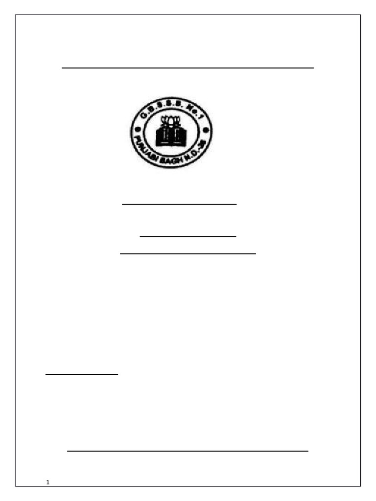 Raj paswan project file pdf software testing system