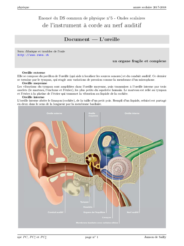 Ondes scalaires et acoustique de l'oreille PDF Oreille Son — free download