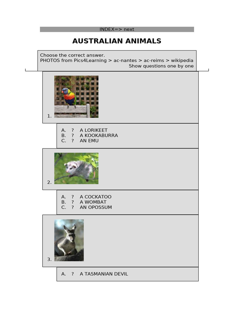 Australian Animals | PDF