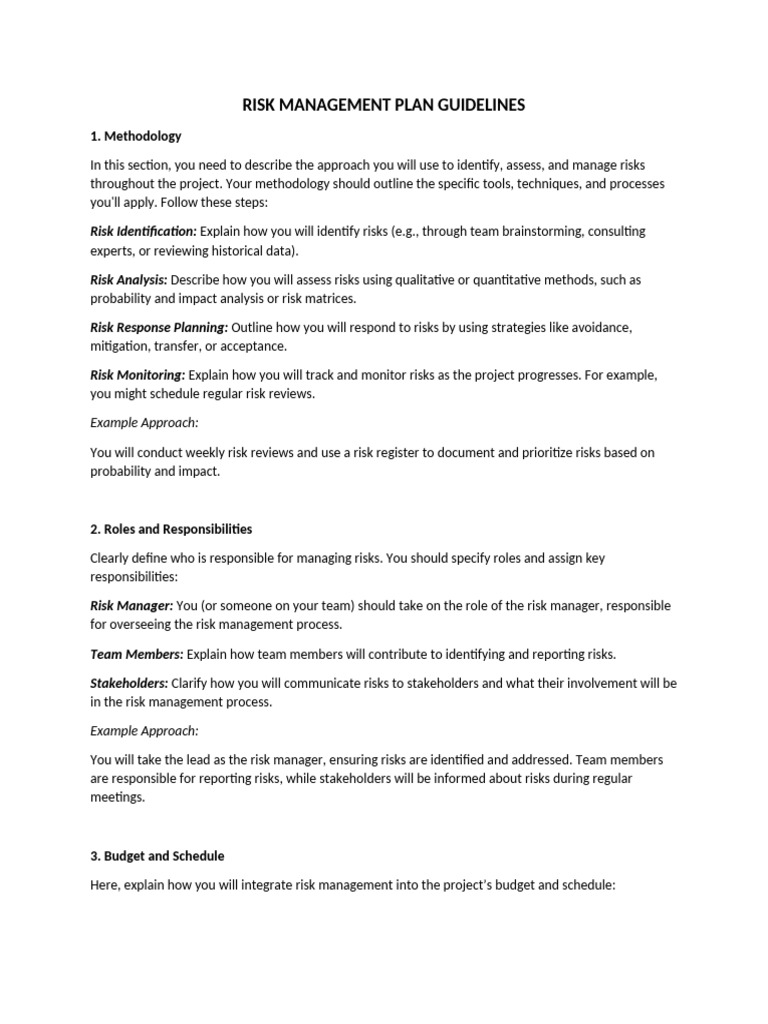 Risk Management Plan Guidelines | PDF | Risk Management | Risk
