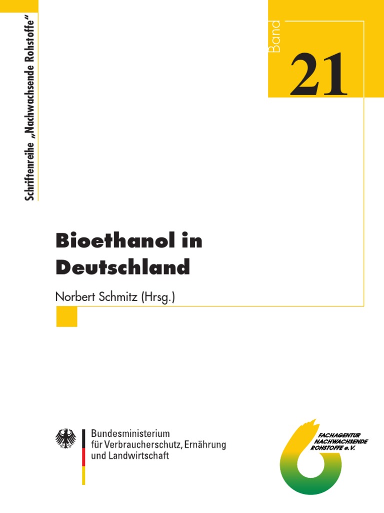 Bio ethanol thesis 08 image