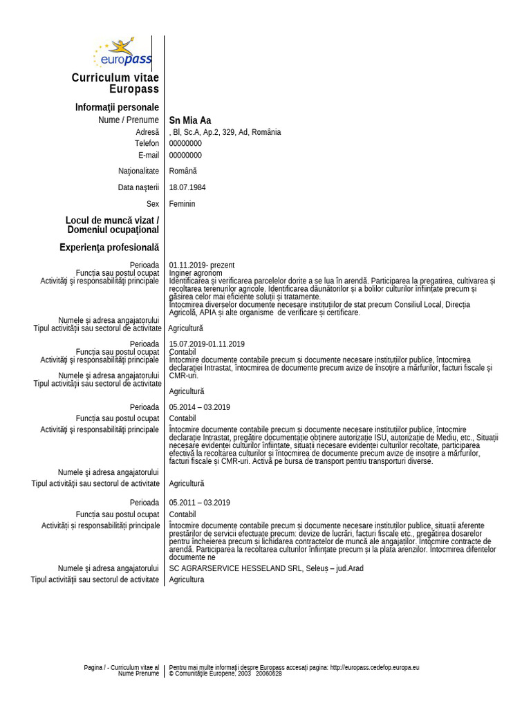 CV-Europass RO - 2021 | PDF