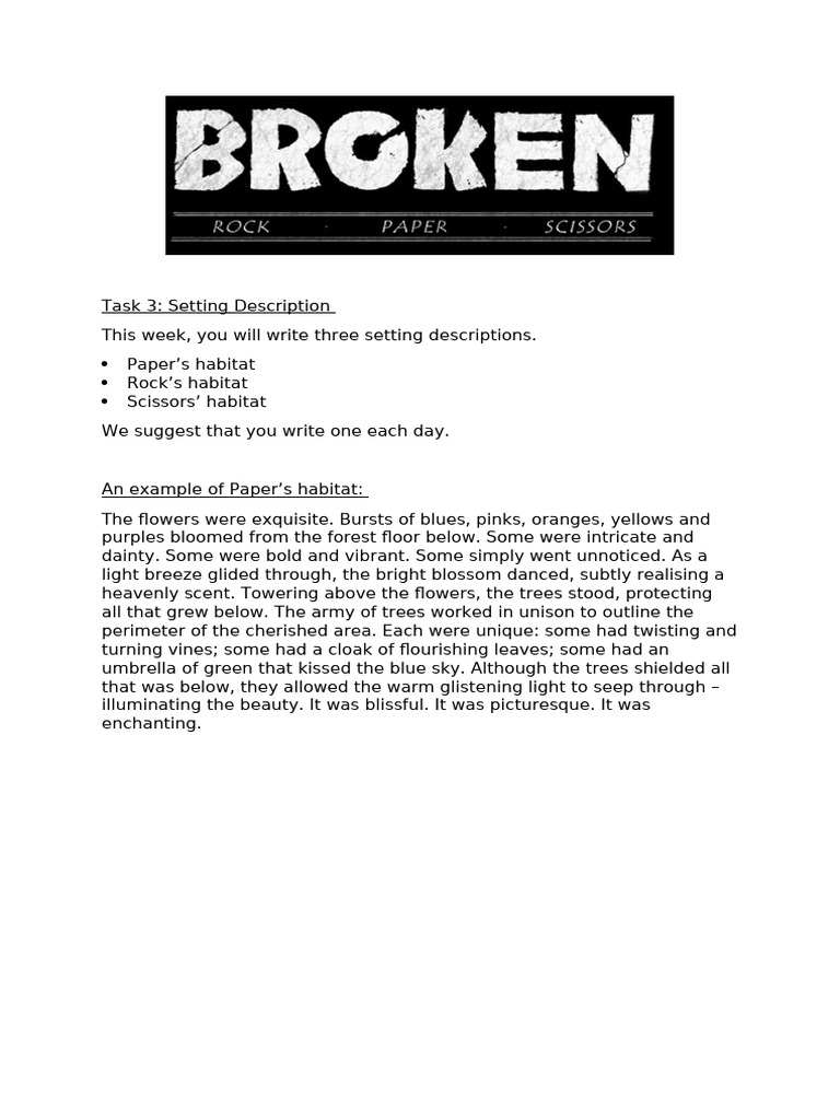 broken-task-3-setting-description | PDF