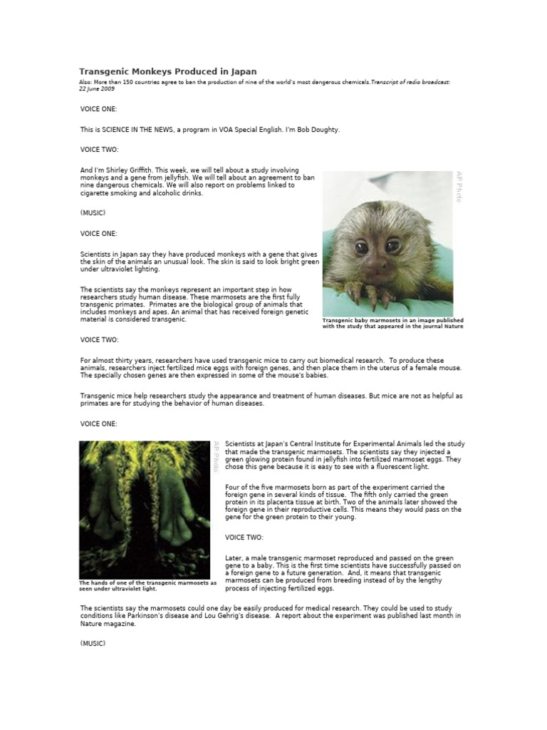 Transgenic Monkeys and Chemical Bans | PDF | Chronic Obstructive ...