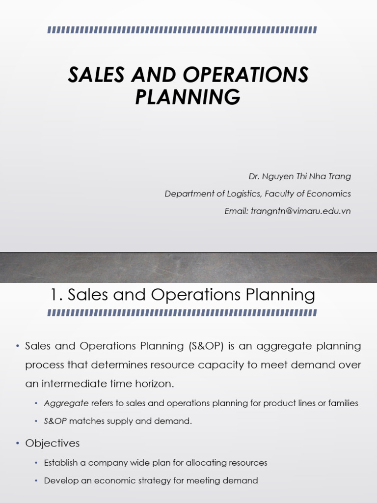 Sales & Operations Planning Guide | PDF | Demand | Economies
