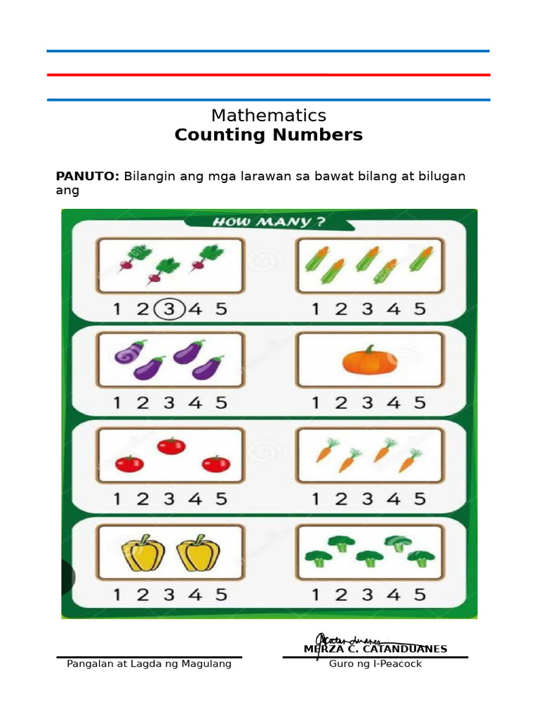 Counting Object - 5 | PDF