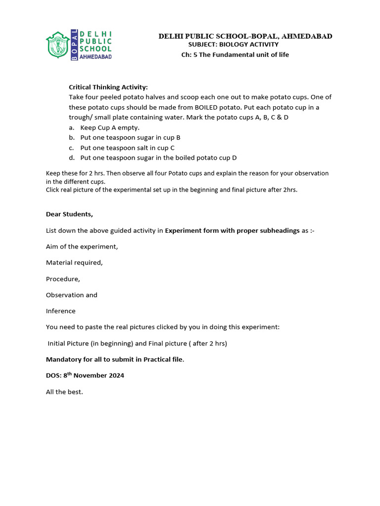CH 5 Critical Thinking Activity | PDF