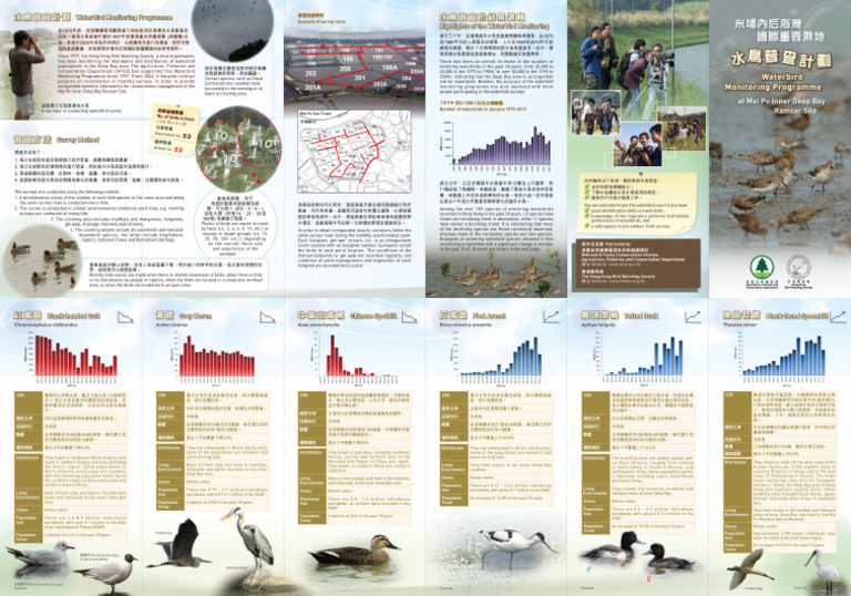 HKBWS Waterbird Monitoring | PDF