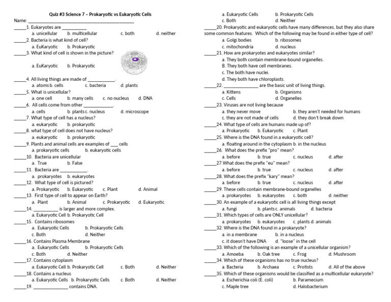 Prokaryotic vs Eukaryotic Cells Quiz | PDF | Cell (Biology) | Prokaryote