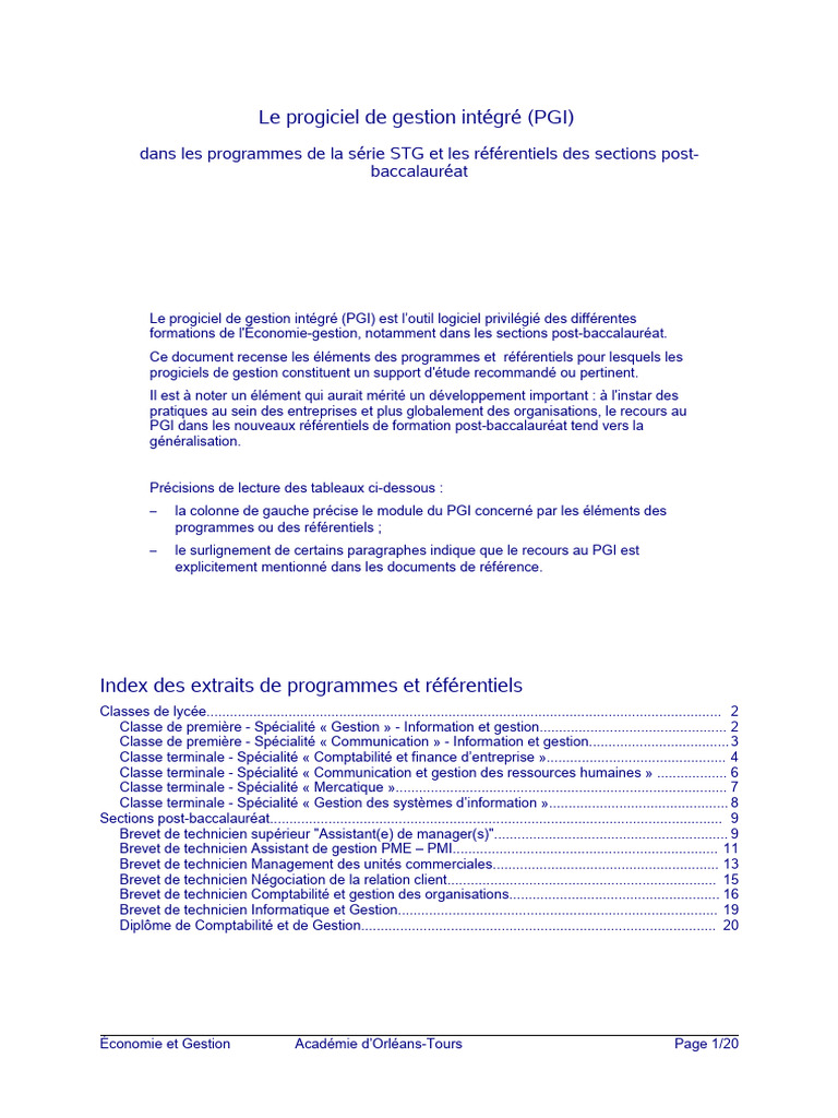 PGI en Économie-Gestion Post-Bac | PDF | Système d'information ...