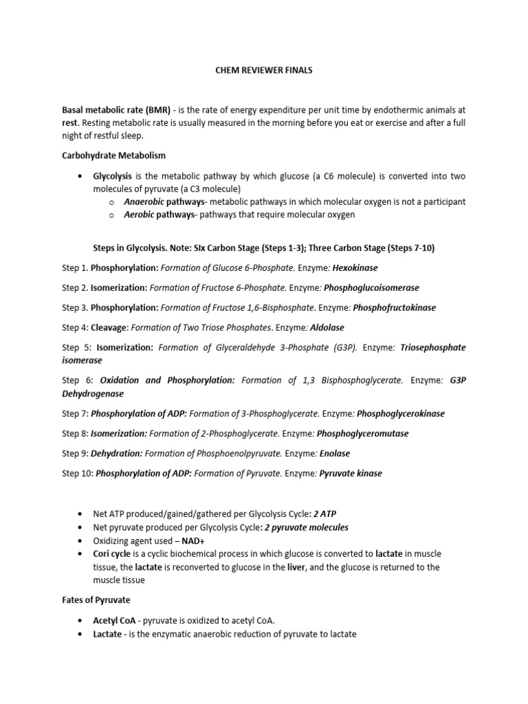 Comprehensive Metabolism Review Guide | PDF | Glycolysis | Metabolism