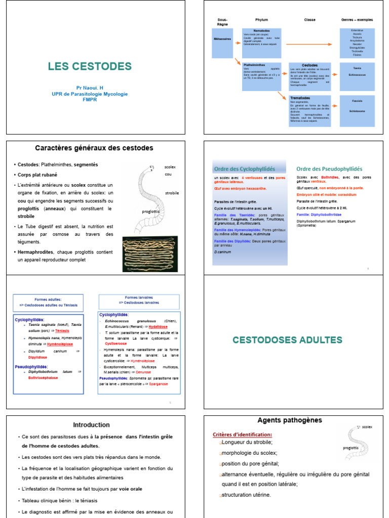 Classification et parasitisme des cestodes | PDF | Spécialités médicales