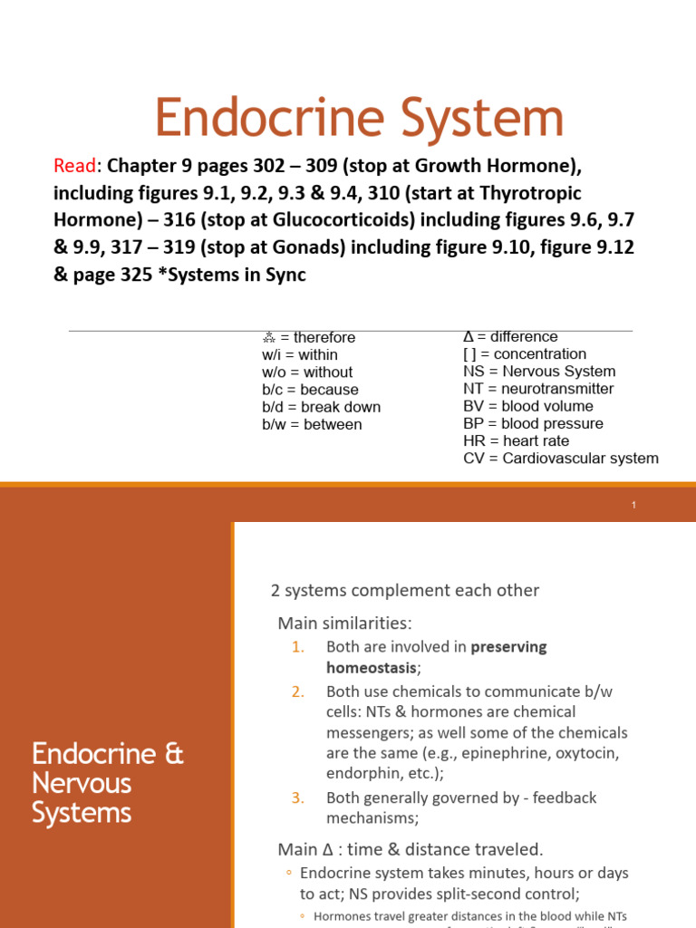Endocrine System Overview and Functions | PDF | Adrenal Gland | Hormone