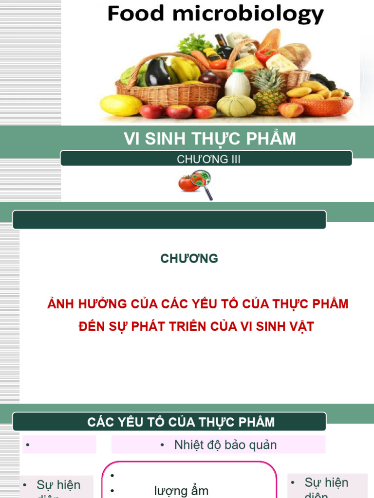 VI SINH THỰC PHẨM CHƯƠNG 3 1 | PDF