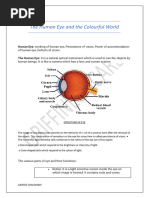 Anatomy and Function of the Human Eye | PDF | Eye | Human Eye