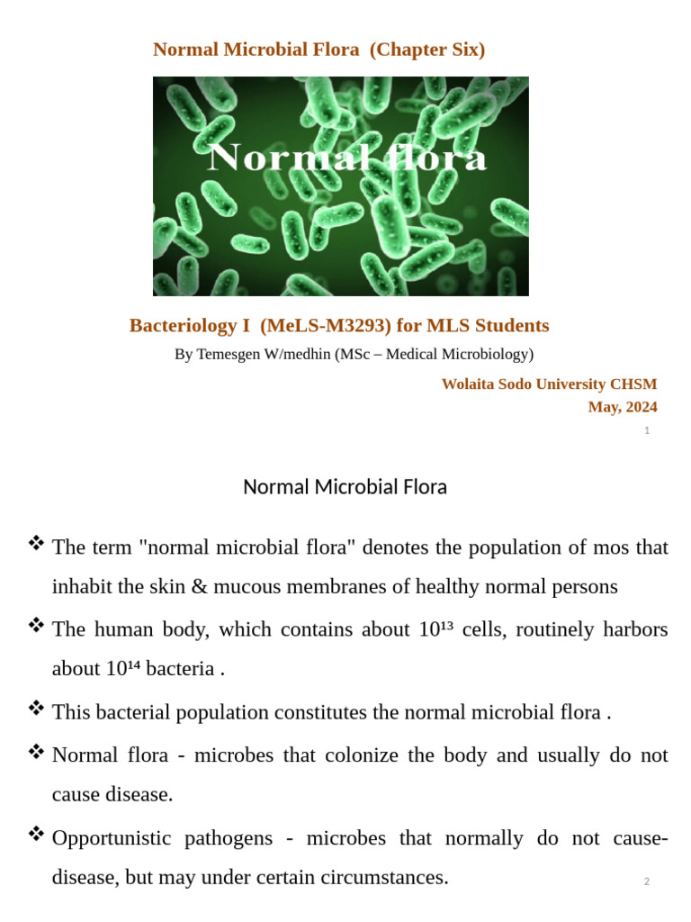 Chapter 6 normal flora 1 pdf infection hospital acquired infection