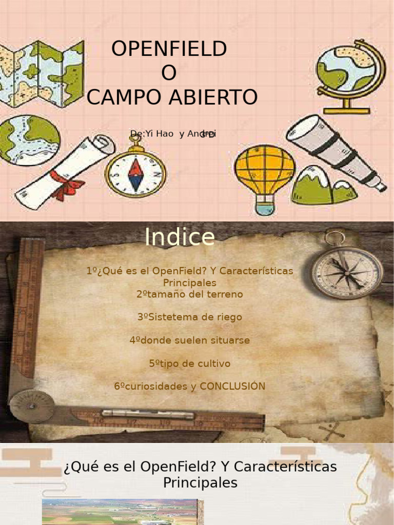 Open Field | PDF | Riego | Agricultura