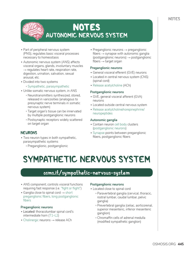 Overview of the Autonomic Nervous System | PDF | Autonomic Nervous ...