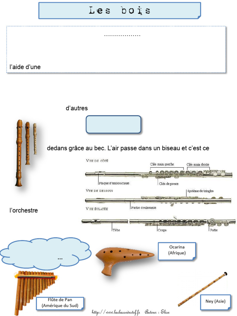 Instruments de la famille des bois | PDF | Hautbois | Bois (musique)