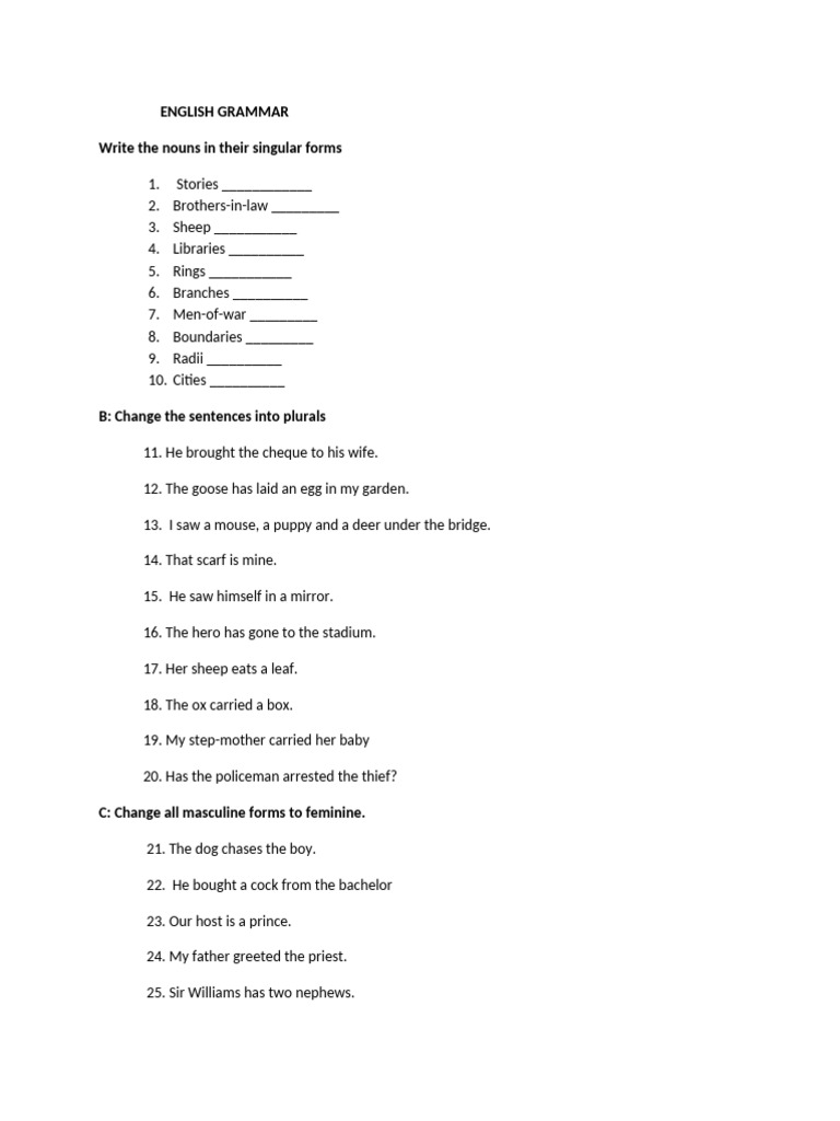 English Grammar Exercises | PDF | Grammatical Gender | Plural