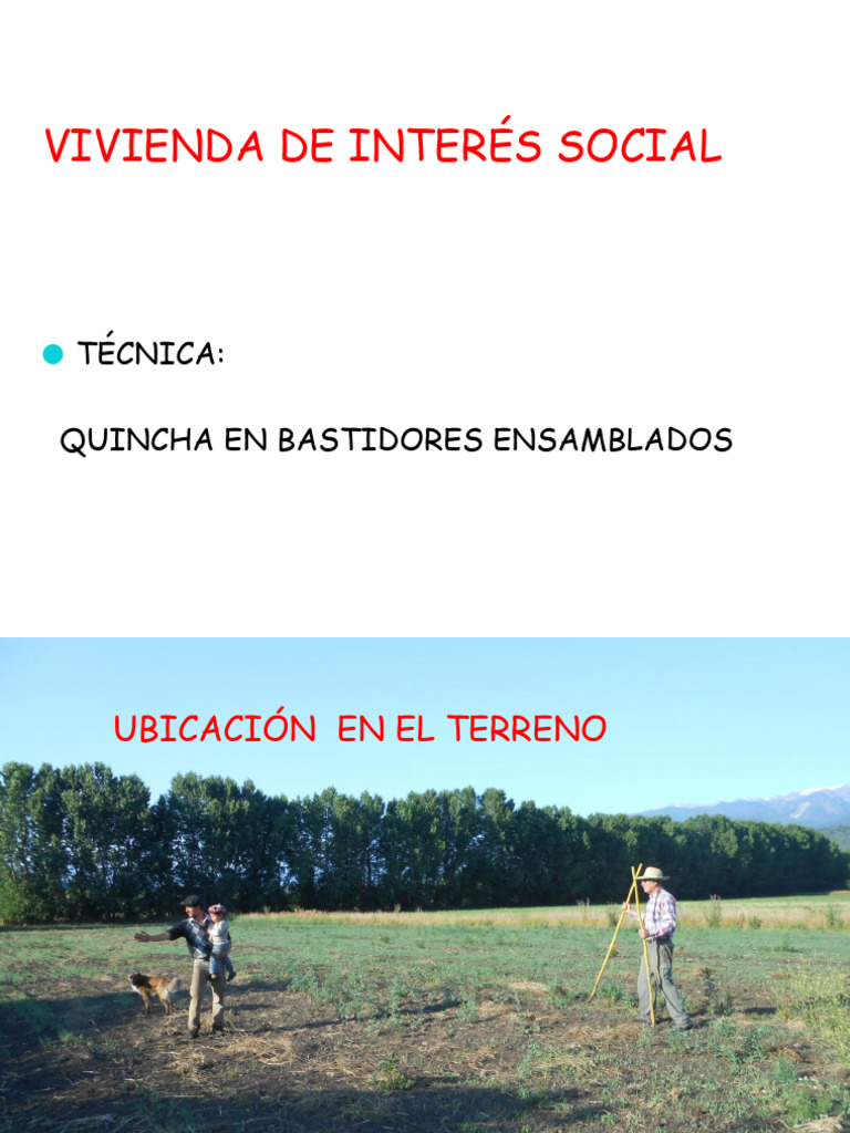Tecnica Quincha Final | PDF