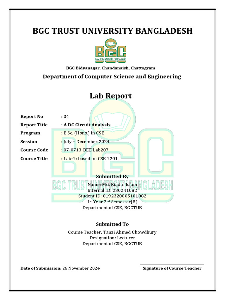 BEE Lab Report 4 | PDF