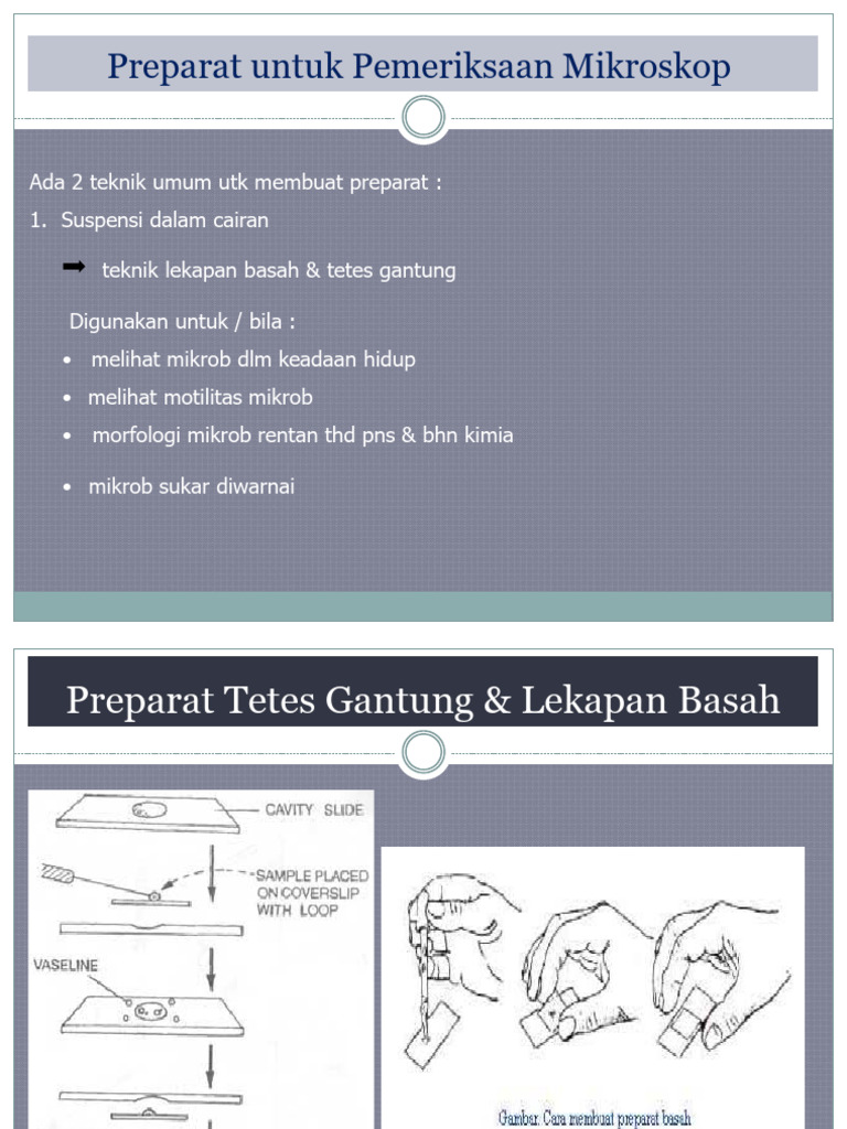 Teknik Preparat Darah untuk Mikroskop | PDF