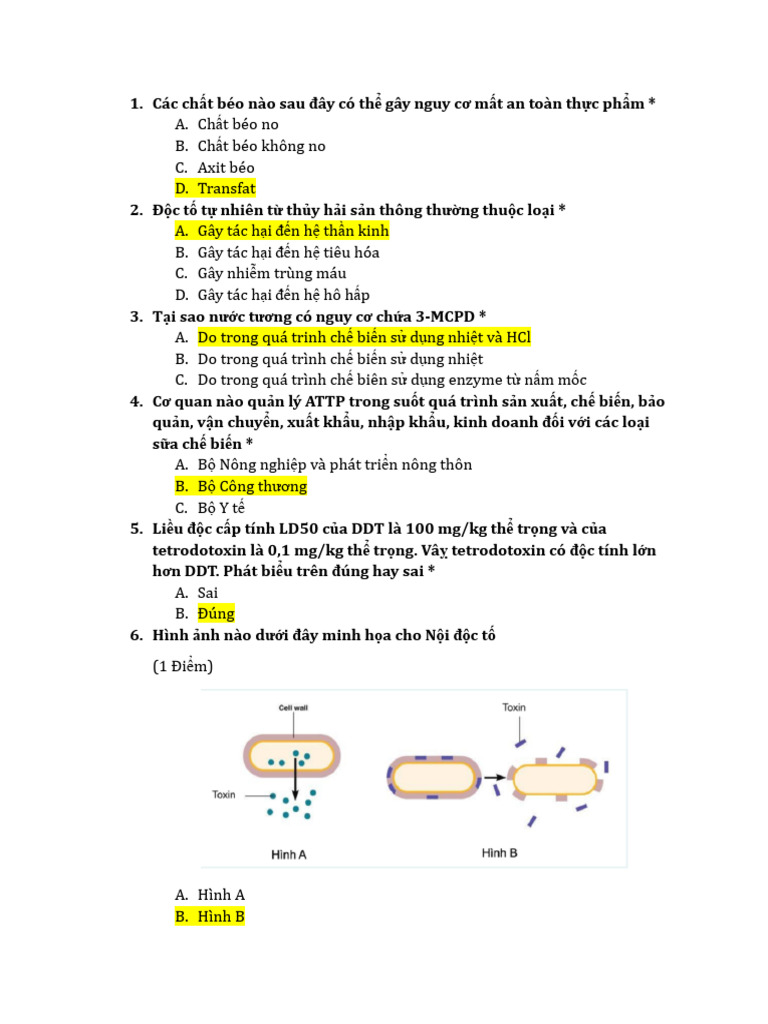 Trac Nghiem On Tap | PDF