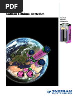 Basic Introduction - TDSG | PDF | Lithium Ion Battery | Electric Vehicle